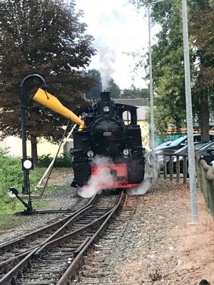 40778399 916780861864696 8078649783729782784 o 916780855198030