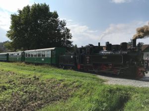 41078180 916781238531325 6462197111977934848 o 916781231864659