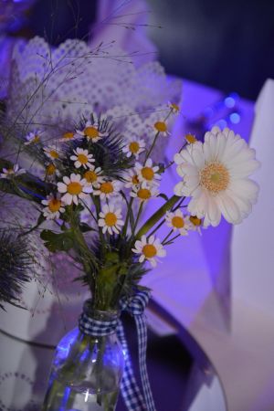 32215341 819267171616066 1656163496989032448 o 819267151616068