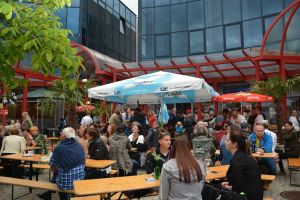 36031848 848204228722360 5475214211472687104 o 848204218722361