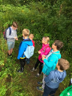 37787930 877369605805822 160853972708491264 o 877369599139156