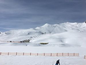 WhatsApp Image 2019 03 09 at 19.36.40  1 