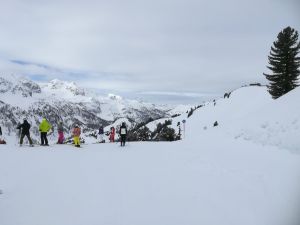 WhatsApp Image 2019 03 10 at 08.20.36  3 