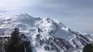 WhatsApp Image 2019 03 10 at 14.31.13  1 