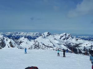 WhatsApp Image 2019 03 10 at 15.36.54